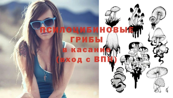 бутират Алзамай