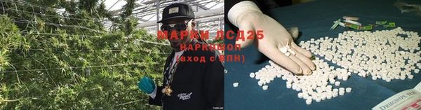 мяу мяу мука Покровск